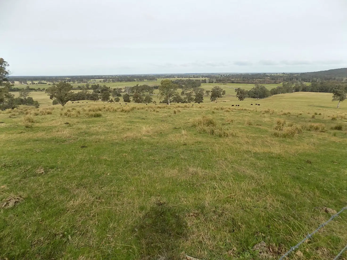 Main view of Homely rural property listing, 120 Still Road, Valencia Creek VIC 3860