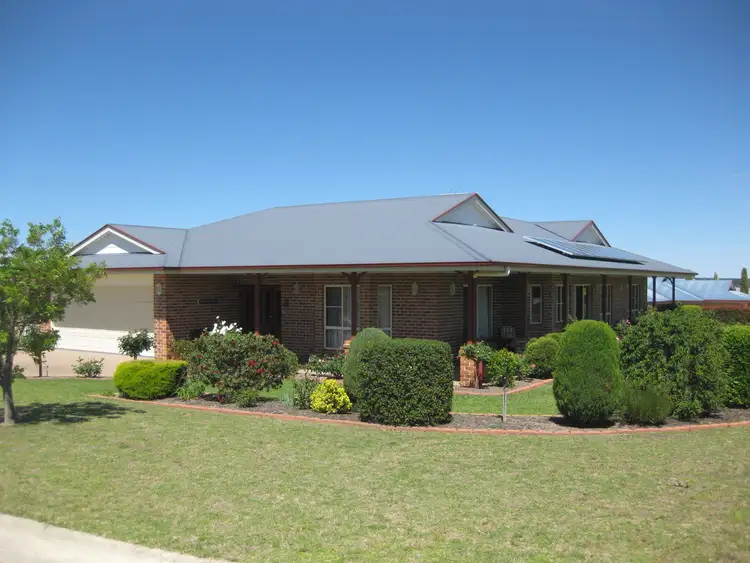 Second view of Homely house listing, 3 Torrisi Tce, Stanthorpe QLD 4380