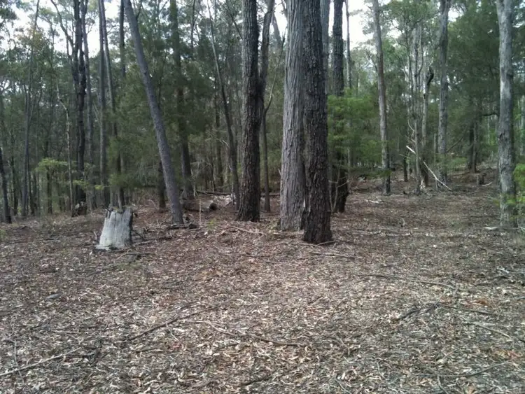 Sixth view of Homely land listing, 208 Princes Highway, Eden NSW 2551
