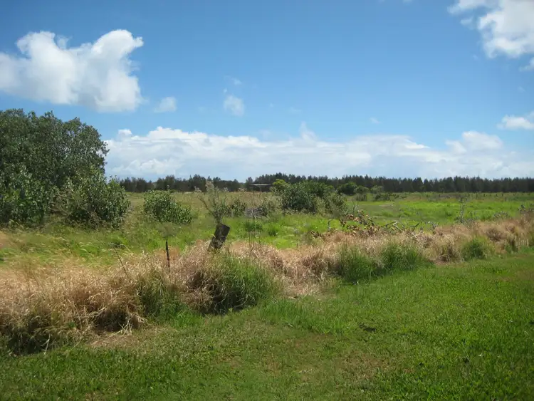 Third view of Homely house listing, 14 CANEFIELD Street, Burnett Heads QLD 4670