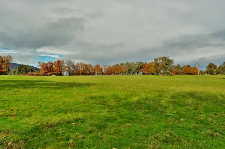 Fifth view of Homely rural property listing, Lot 3 - Osbornes Flat Road, Yackandandah VIC 3749