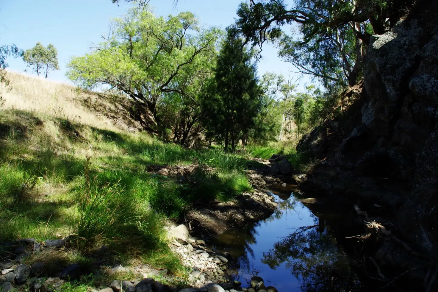 Main view of Homely rural property listing, 7729 New England Highway, Willow Tree NSW 2339