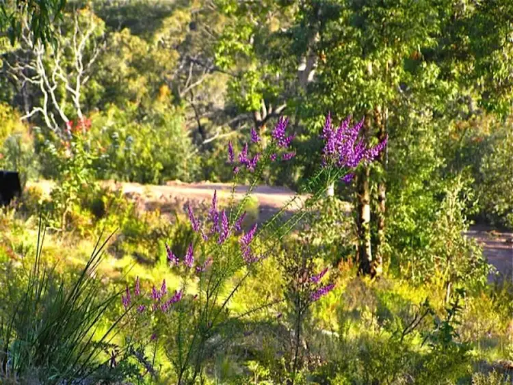 Sixth view of Homely rural property listing, Lot 70 Tullagong Park Road, Putty NSW 2330