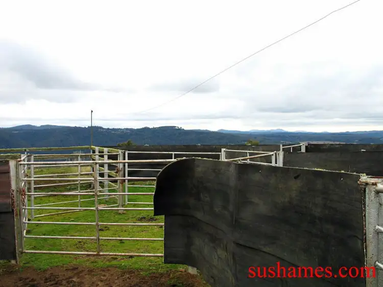 Sixth view of Homely rural property listing, Address available on request