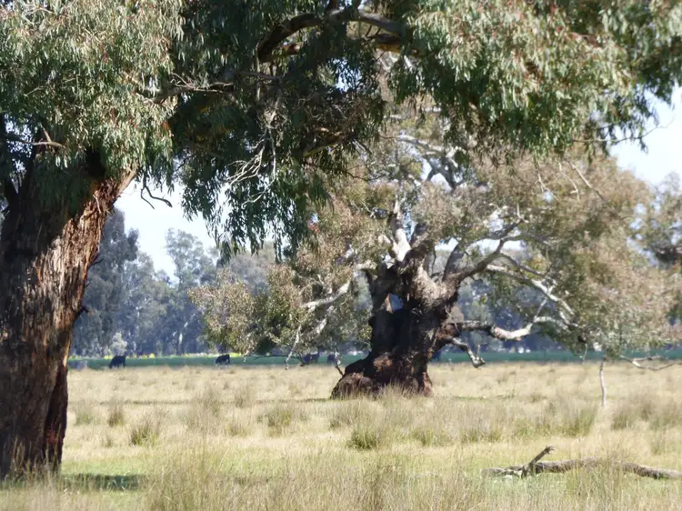 Third view of Homely rural property listing, L2 MIDLAND Highway, Benalla VIC 3672