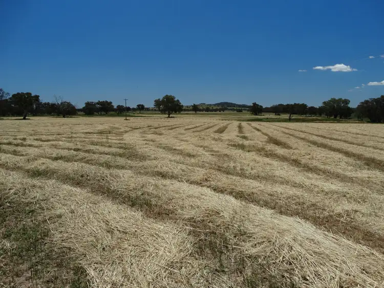 Seventh view of Homely rural property listing, . Urana & Cedardale Road, Burrumbuttock NSW 2642