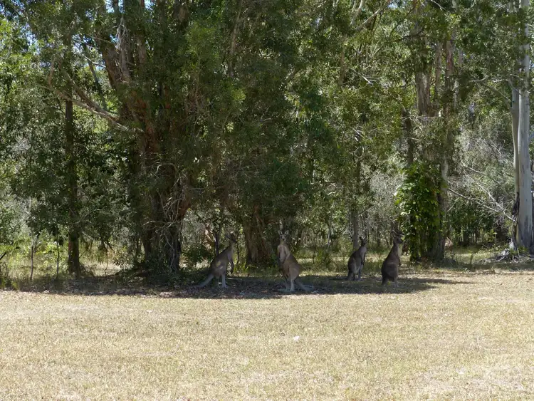 6A Amaroo Place, Cooroibah QLD 4565