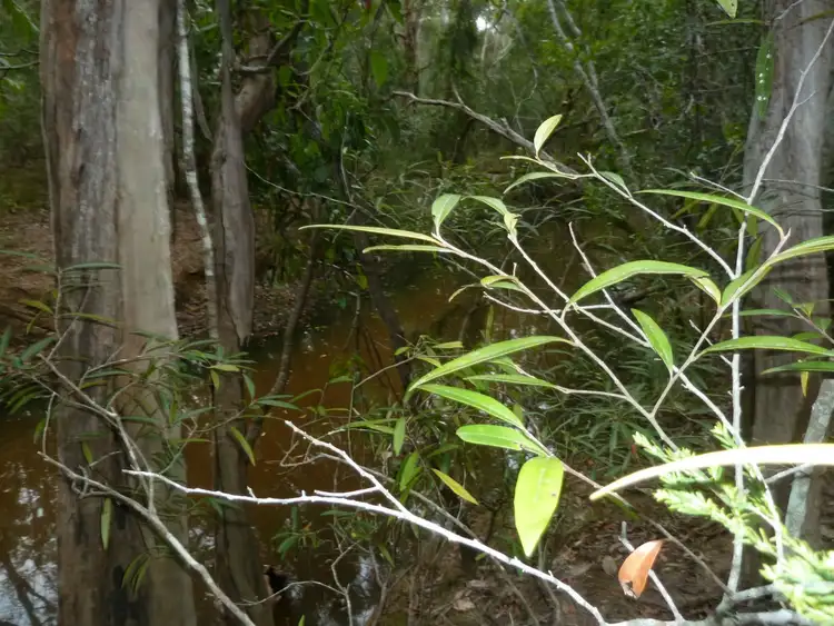 Sixth view of Homely rural property listing, L12 Springvale Road, Tinana South QLD 4650