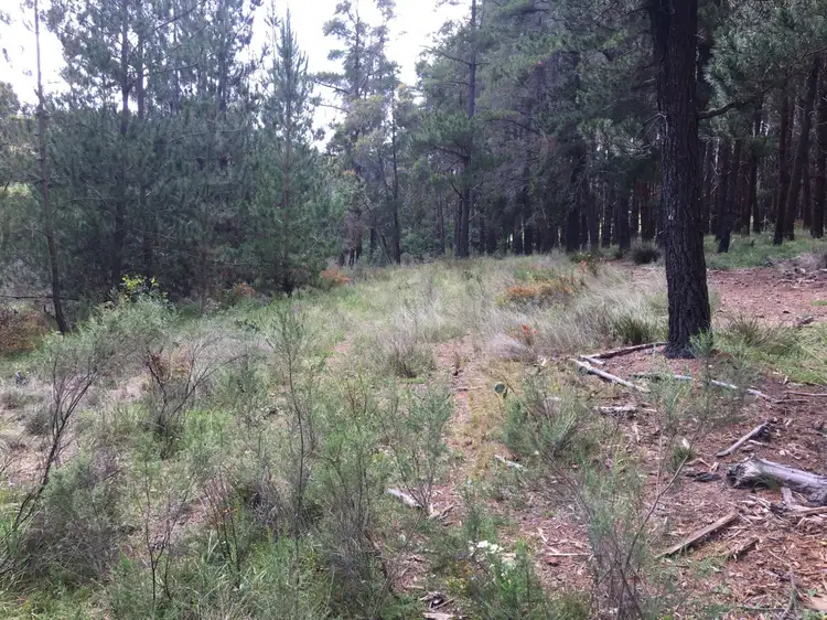 Fifth view of Homely rural property listing, 116 Ilford Hall Road, Ilford NSW 2850