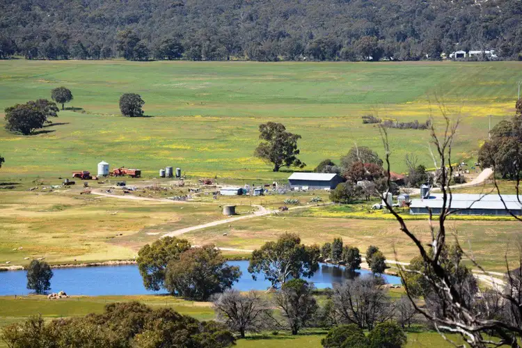 Fourth view of Homely rural property listing, 142 Monaghan Road, Stawell VIC 3380