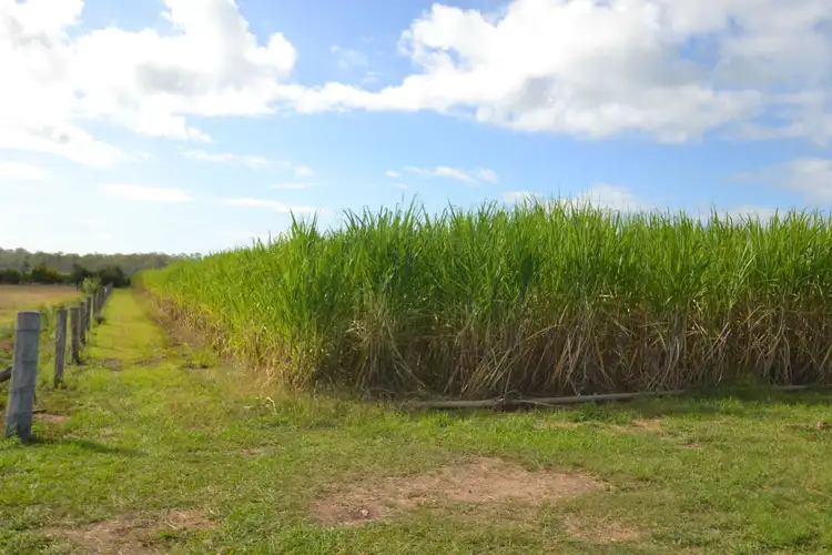 Second view of Homely rural property listing, Address available on request