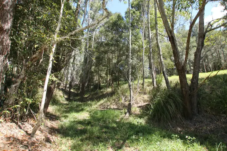 Seventh view of Homely land listing, Lot 12 242 Lloyd Road, Yungaburra QLD 4884