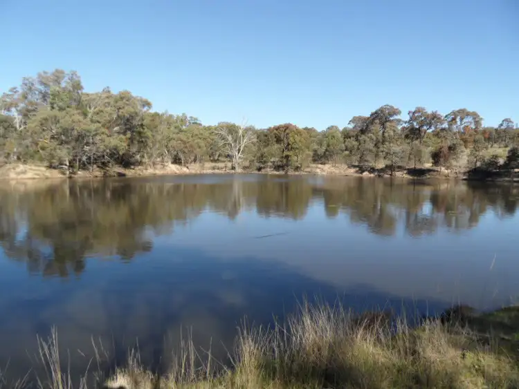 Sixth view of Homely rural property listing, 1757 Texas Road, Stanthorpe QLD 4380