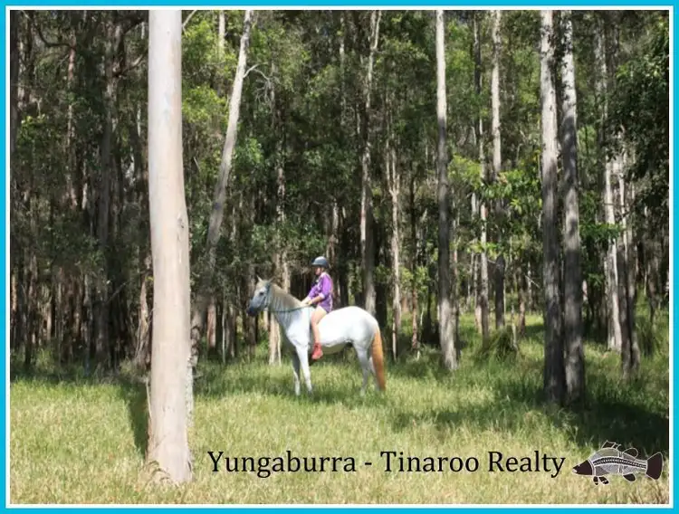 Lot 12 242 Lloyd Road, Yungaburra QLD 4884