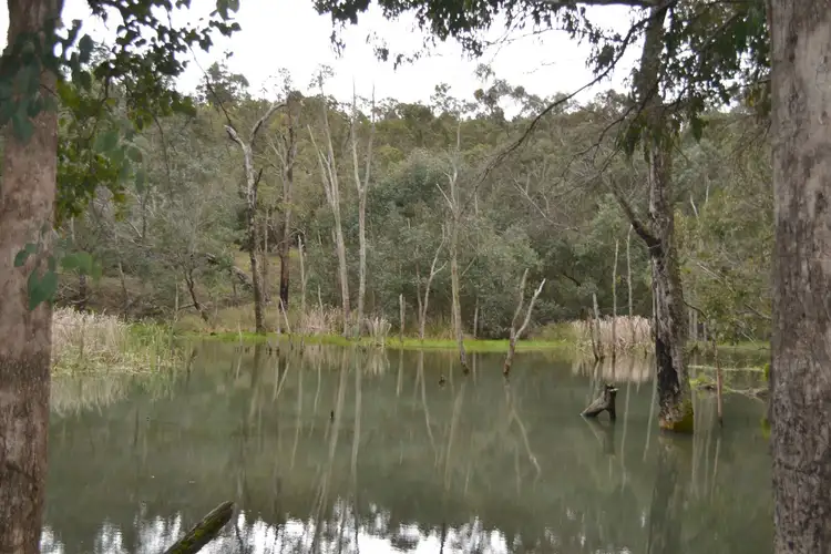 Fifth view of Homely rural property listing, 4 Daniels Road, Bridgetown WA 6255