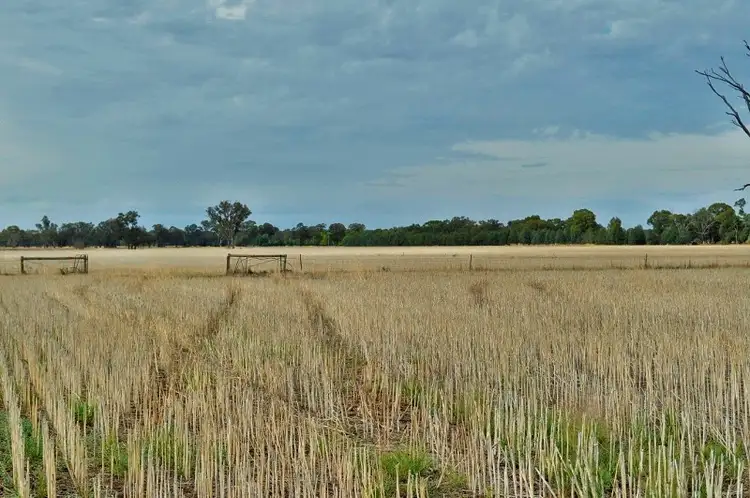 Main view of Homely rural property listing, Lot 3 Cornishtown Road, Rutherglen VIC 3685
