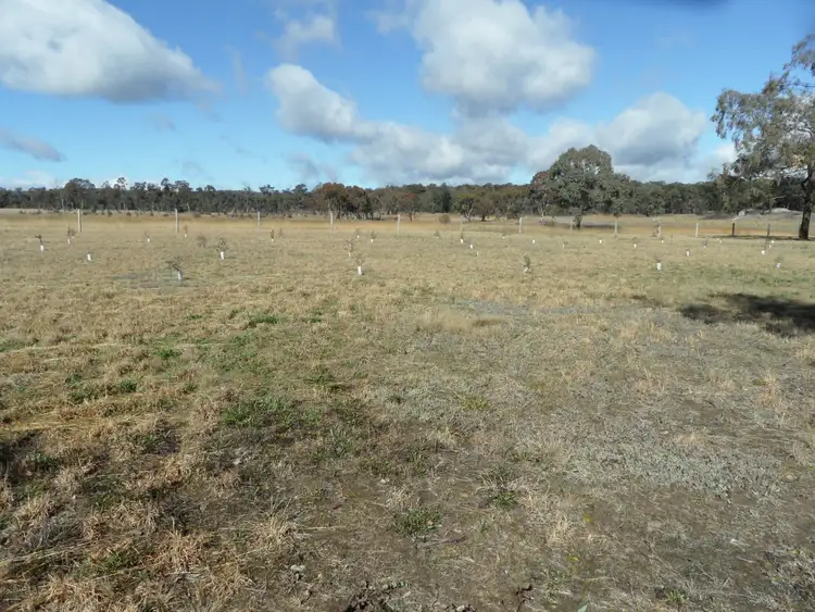 Fourth view of Homely land listing, Lot 10 Greaney Road, Greenlands QLD 4380