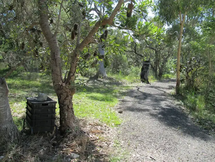 Main view of Homely land listing, 79 Frederick Street, Vincentia NSW 2540