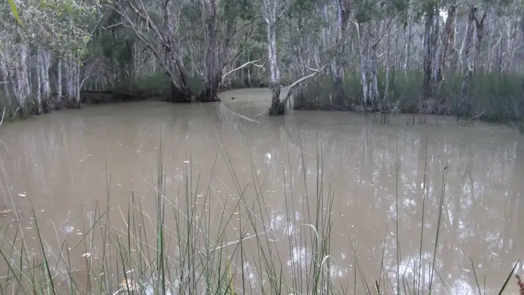 Second view of Homely land listing, 128 Lambs Road, Isis River QLD 4660