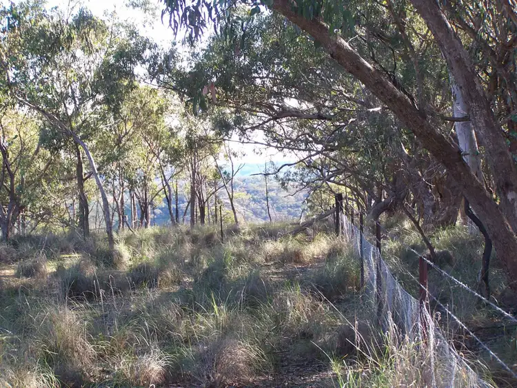 Second view of Homely rural property listing, 387 Perrams Road, Mudgee NSW 2850