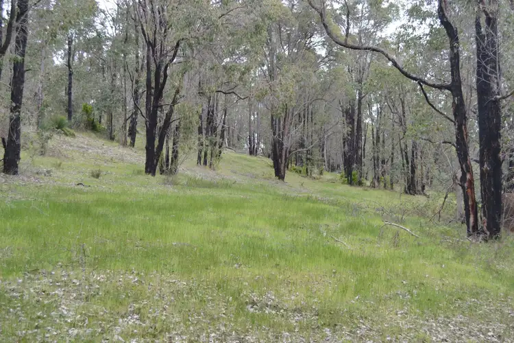 Seventh view of Homely rural property listing, 4 Daniels Road, Bridgetown WA 6255