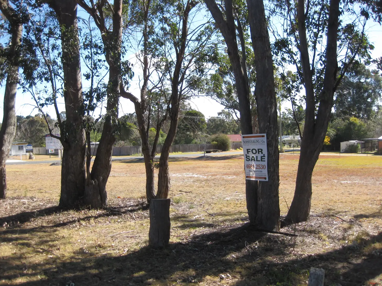 Main view of Homely land listing, Lots 2 & 3 Pine Cresent, Dalveen QLD 4374