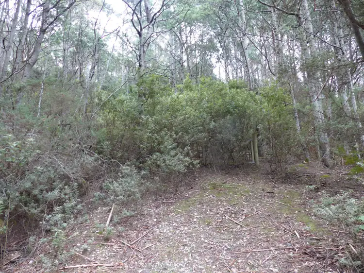 Main view of Homely land listing, Lot 1 Highland Lakes Road, Golden Valley TAS 7304