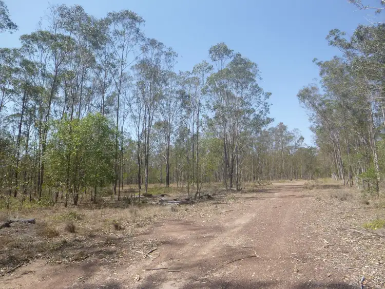 L1 Cooks Road, South Isis QLD 4660