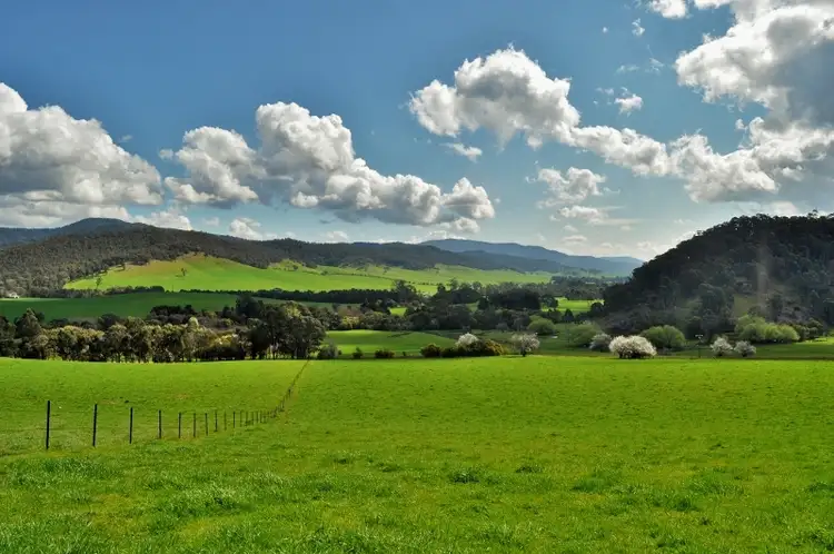 Fourth view of Homely rural property listing, 3470 Tallangatta Creek Rd, Tallangatta Valley VIC 3701