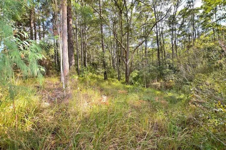 Third view of Homely land listing, 88 Rambert Road, Eudlo QLD 4554