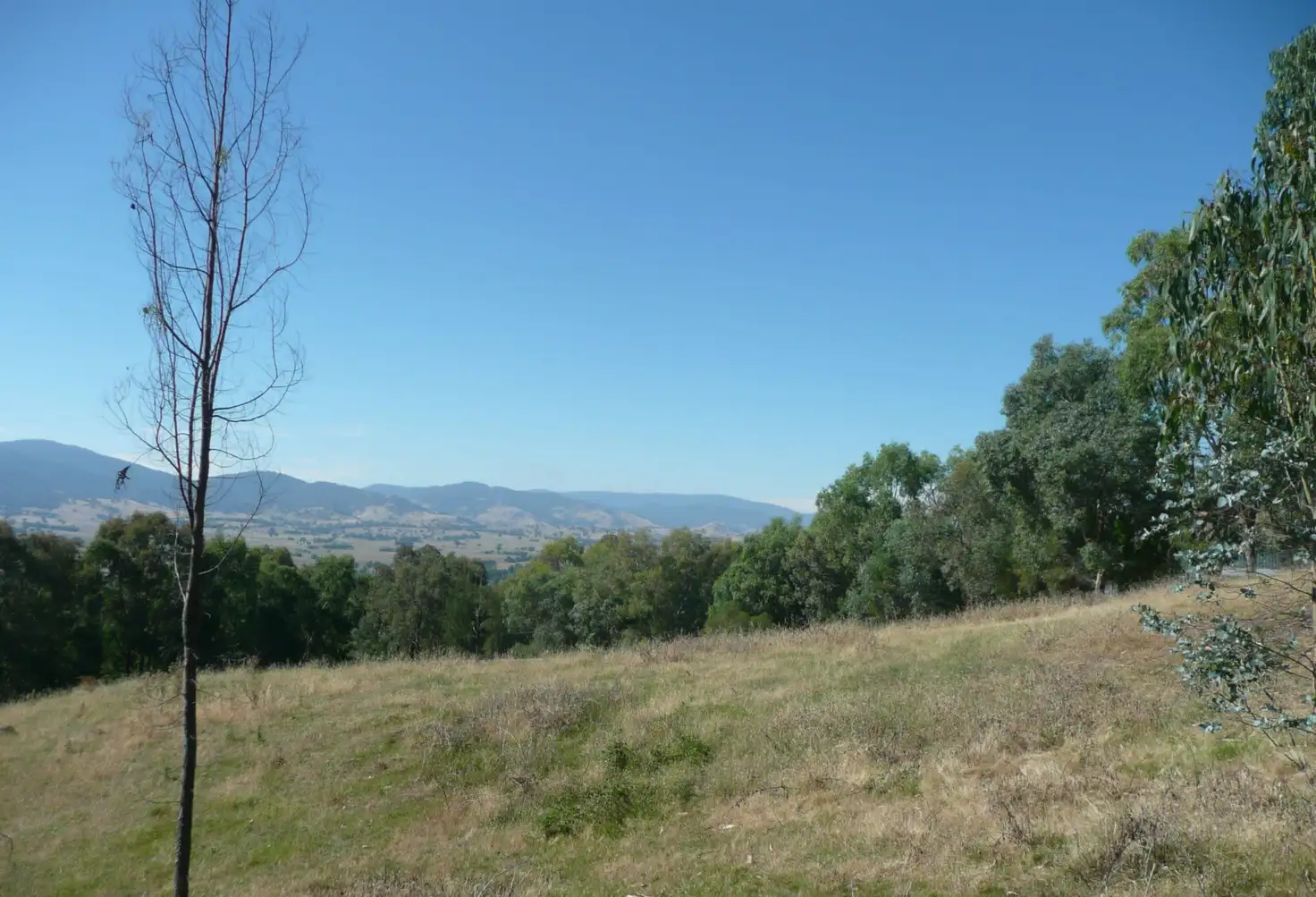 Main view of Homely land listing, 15 Ellerslie Court, Staghorn Flat VIC 3691