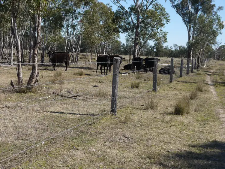 Fifth view of Homely rural property listing, Lot 7 Bosnjaks Road, Glenarbon QLD 4385