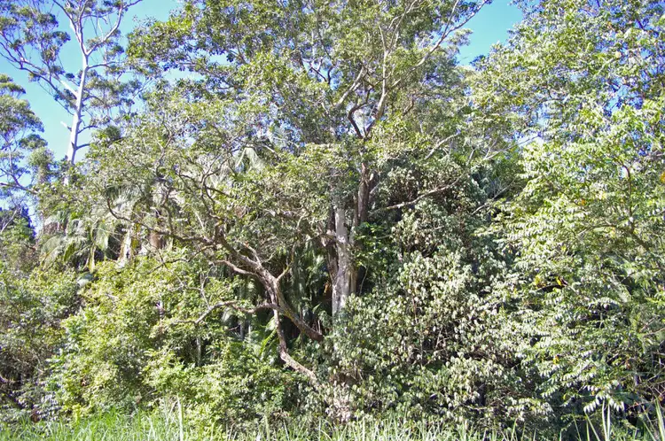 Fourth view of Homely land listing, Address available on request