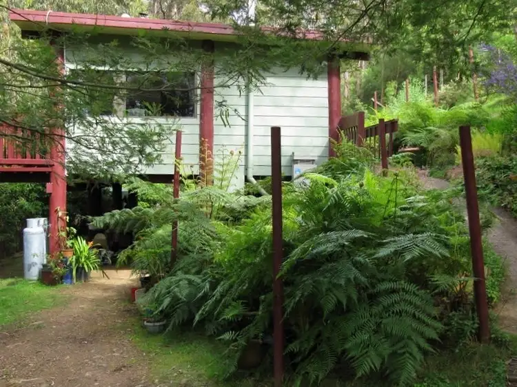 Second view of Homely rural property listing, 1414 Mount Darragh Rd, Lochiel NSW 2549