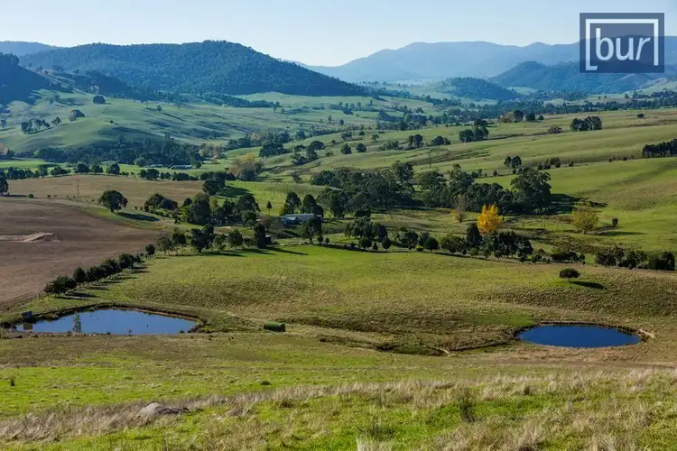 Second view of Homely rural property listing, 49 Perkins Rd, Lucyvale VIC 3691