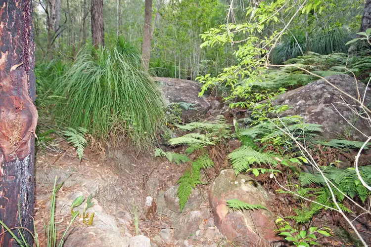 Seventh view of Homely house listing, 4168 Wisemans Ferry Road, Spencer NSW 2775