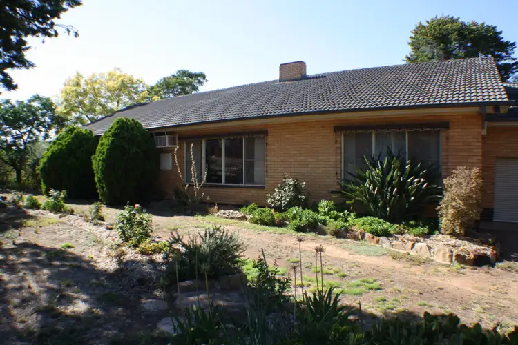 Main view of Homely rural property listing, 83 Godfrey St, Wedderburn VIC 3518