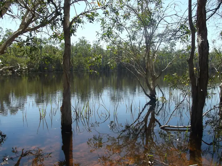 Second view of Homely land listing, 471 Rainbows Road, South Isis QLD 4660
