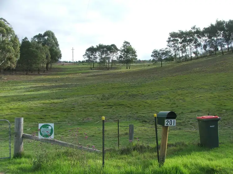Seventh view of Homely rural property listing, 201 Pericoe Road, Towamba NSW 2550