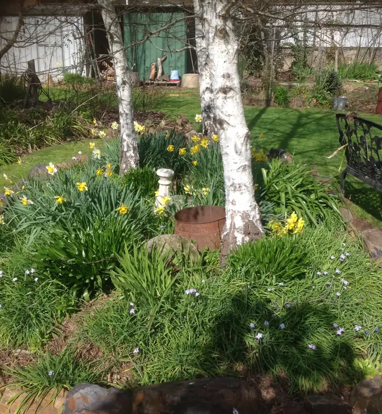 Fifth view of Homely house listing, 69 Myrtle Street, Myrtleford VIC 3737