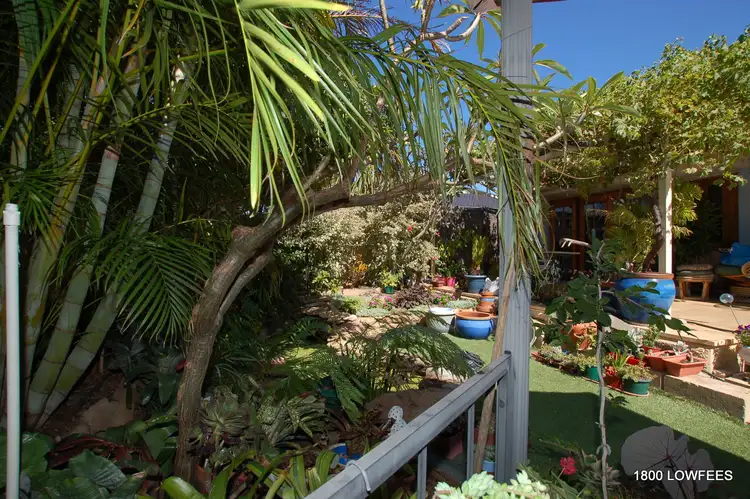 Sixth view of Homely semi-detached listing, 48 WESLEY Street, Balcatta WA 6021