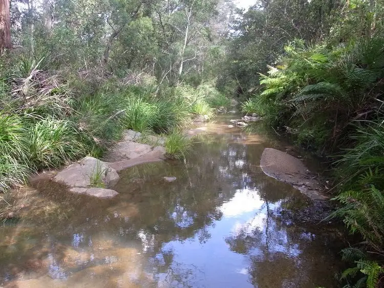 Second view of Homely rural property listing, 360 Myrtle Mountain Road, Wyndham NSW 2550