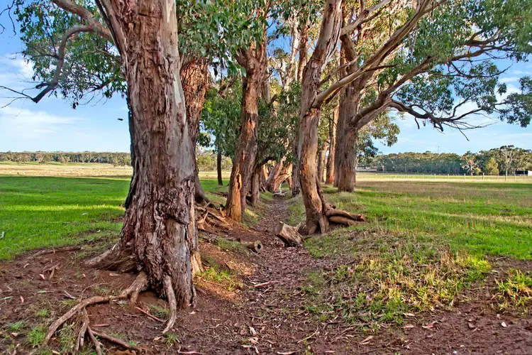 Third view of Homely land listing, L2 Hodgetts Road, Gorae VIC 3305