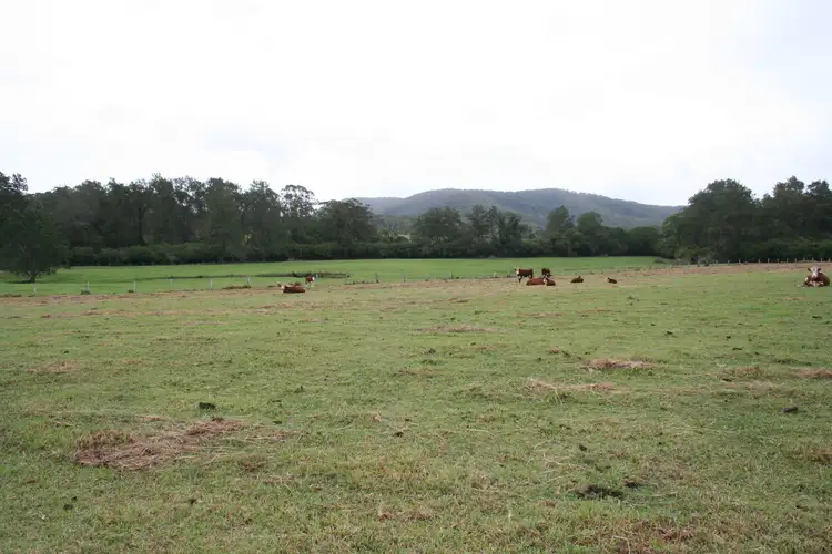 210 Jones Road, Byabarra NSW 2446