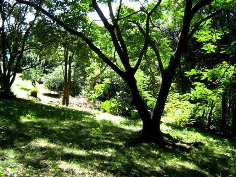 Fourth view of Homely land listing, 59 Balmoral Road, Montville QLD 4560