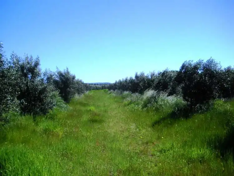 Seventh view of Homely rural property listing, 1336 Riddell Road, Riddells Creek VIC 3431