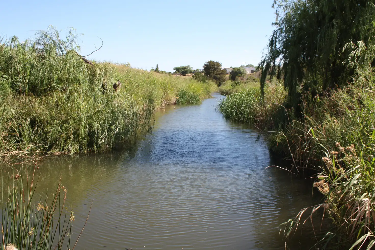 Main view of Homely land listing, 1 Paynes Road, Freestone QLD 4370
