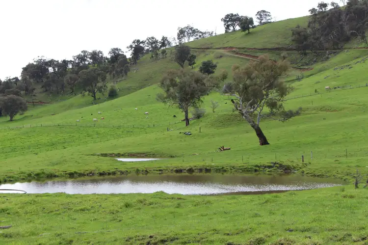 Fifth view of Homely rural property listing, PL13 Evans Road, Cudgewa VIC 3705