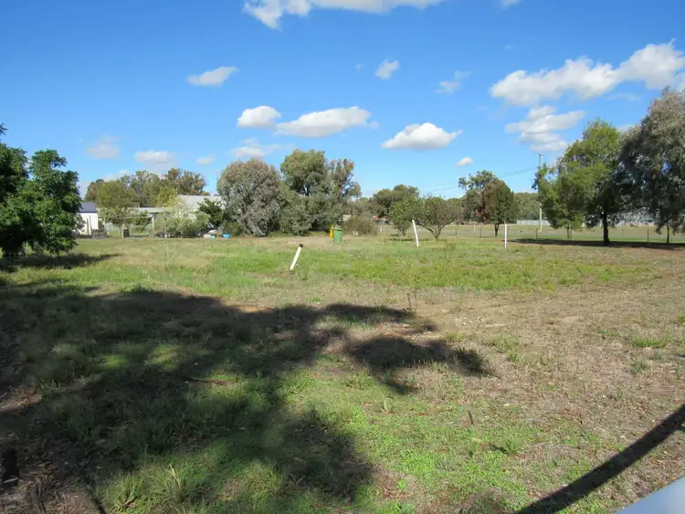 8 Henty Street, Morven NSW 2660