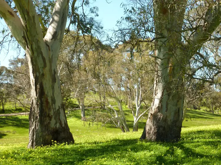 Main view of Homely rural property listing, Section 1092 Tonto Road, Normanville SA 5204